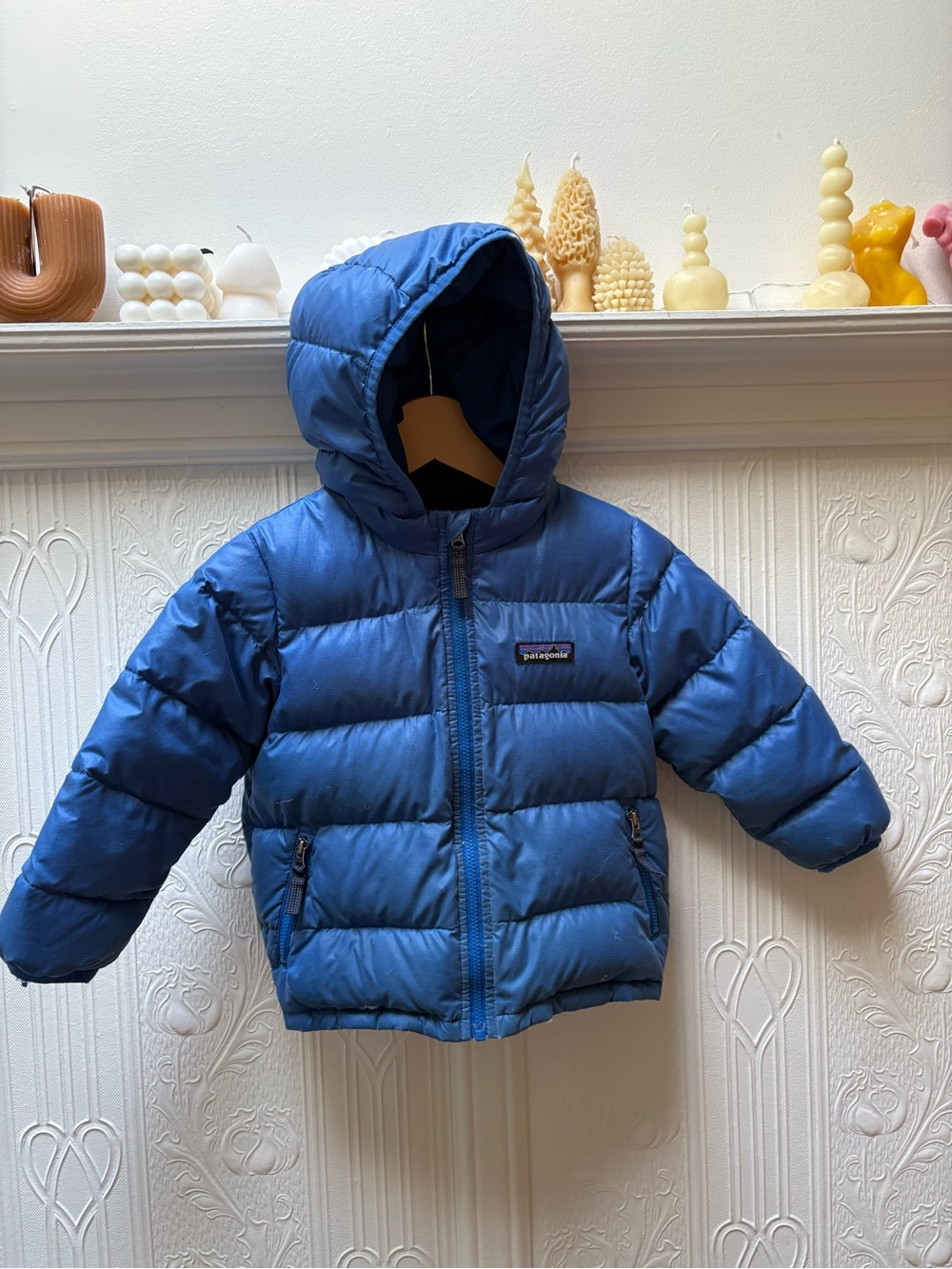 Patagonia Blue Hooded Puffer Jacket